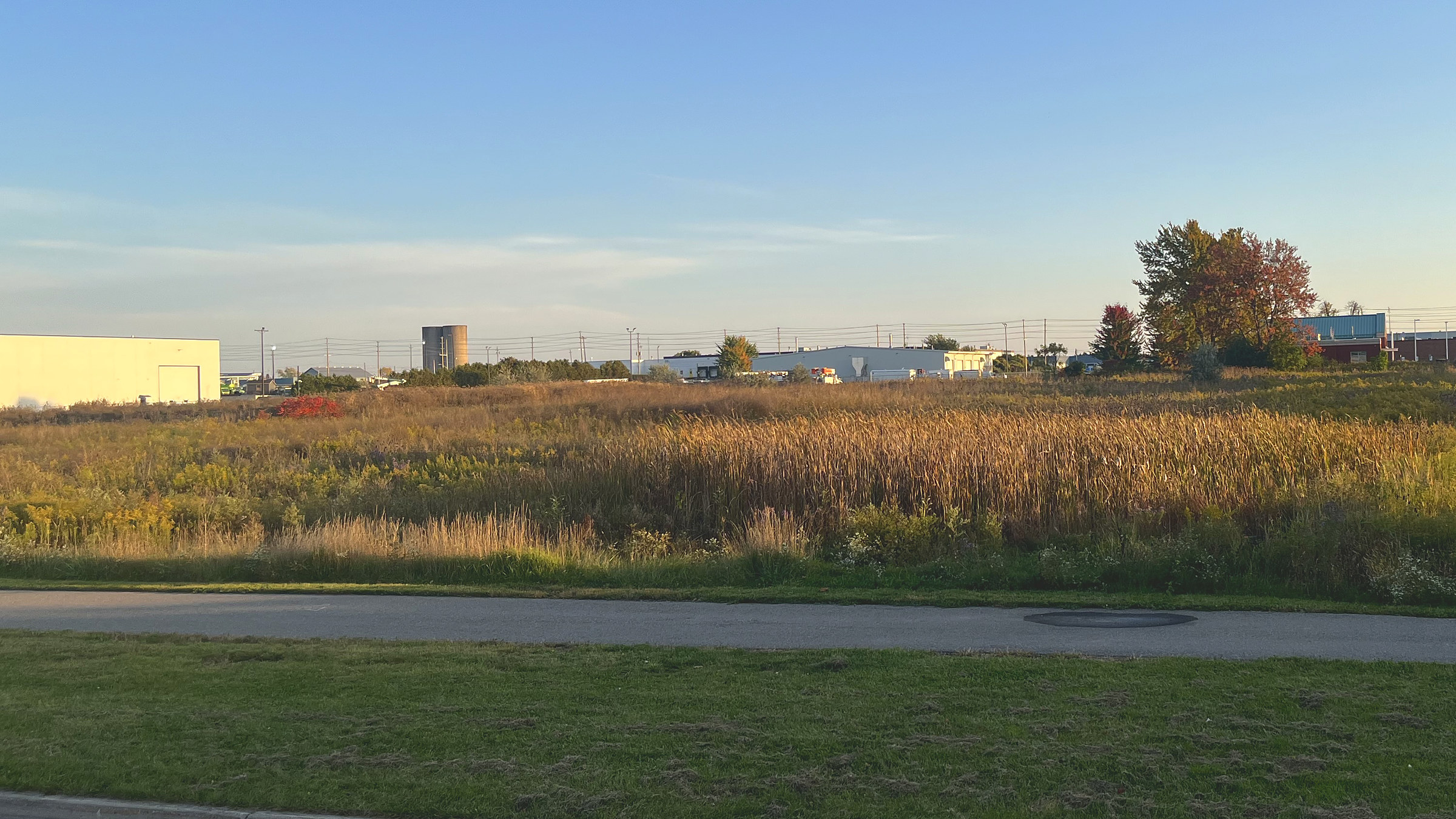 A vacant field of tall grass and goldenrod seen from Silver Street in St. Thomas at sunset, with industrial buildings and autumn trees on the horizon