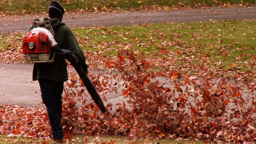A person seen from behind uses a backpack leaf blower to clear red autumn leaves from a lawn and paved path. File photo.
